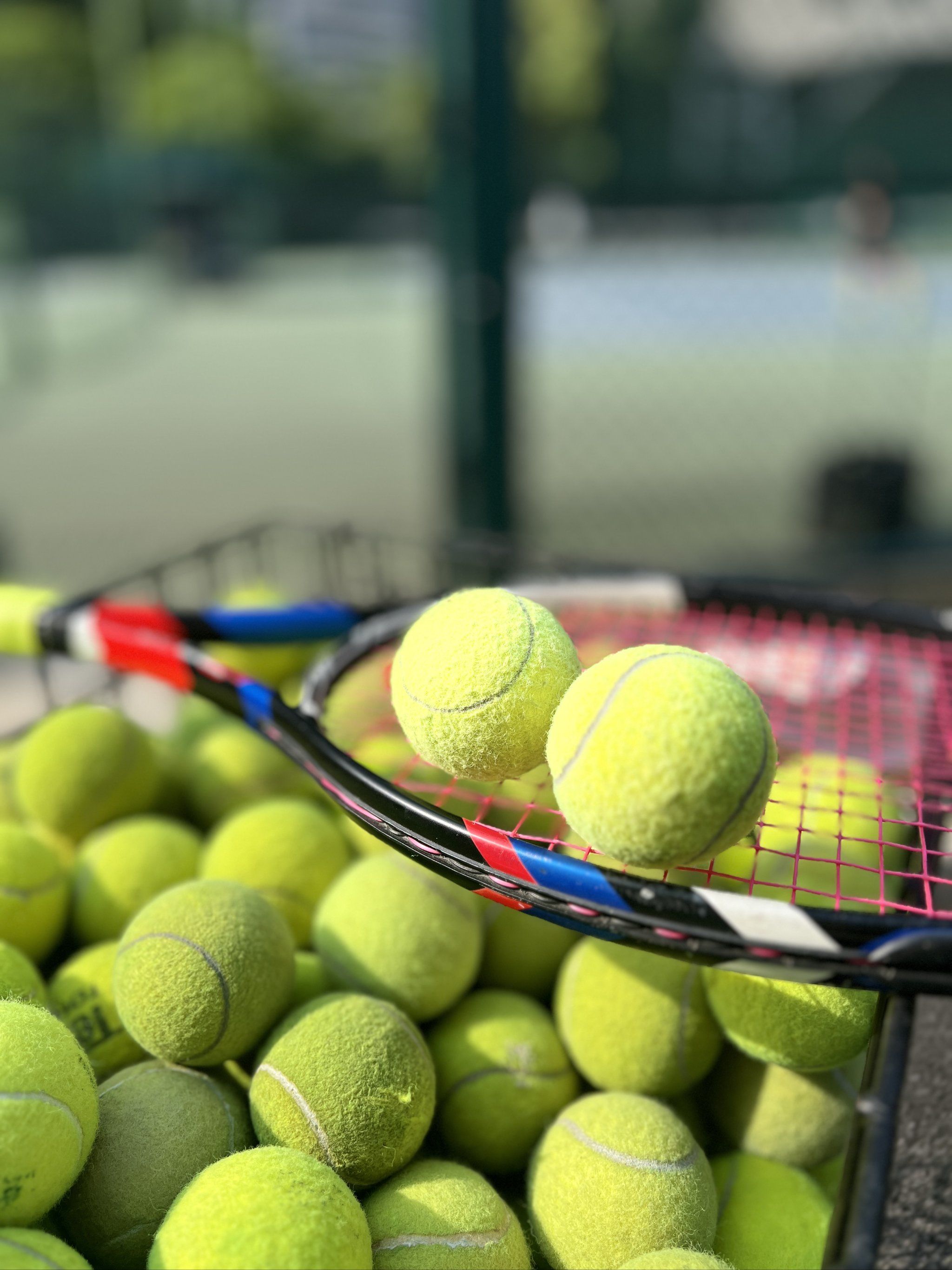 成为比赛初 成为比赛初