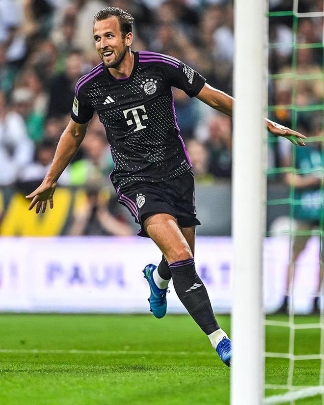 的一致好评 的一致好评